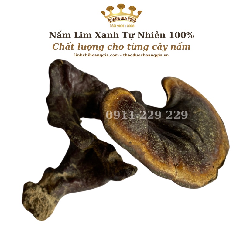 Nấm Lim Xanh Quảng Nam Thu Hái Tự Nhiên - Hoàng Gia Loại Đặc Biệt 500g