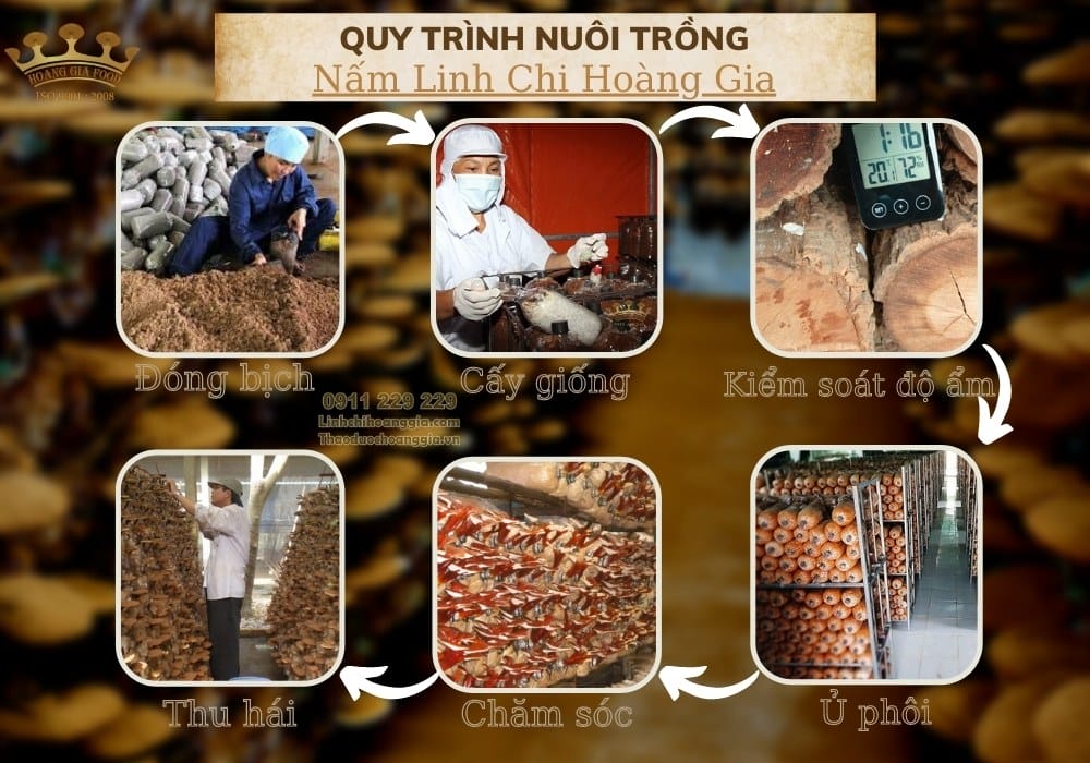 quy-trinh-nuoi-trong