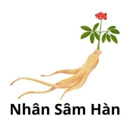 Nhân Sâm Hàn Quốc