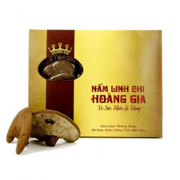 Nấm Linh Chi Đỏ Việt Nam Hoàng Gia 500g Nguyên Tai