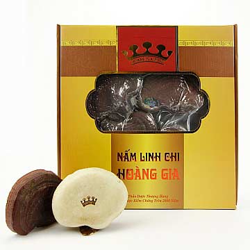 1695112945-3 gia-nam-linh-chi-nhat-ban