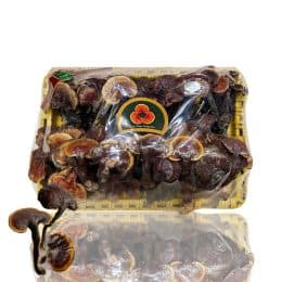 Nấm Lim Xanh Cao Cấp | Hoàng Gia