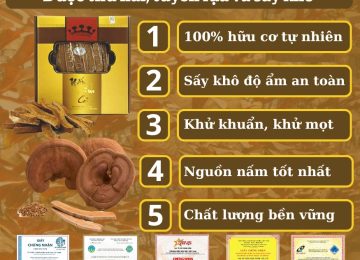 Top cửa hàng bán nấm linh chi ở【Hà Nội】- Thương Hiệu Uy Tín
