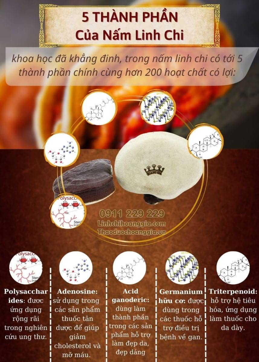 nam-linh-chi-hoang-gia-thuong-hang