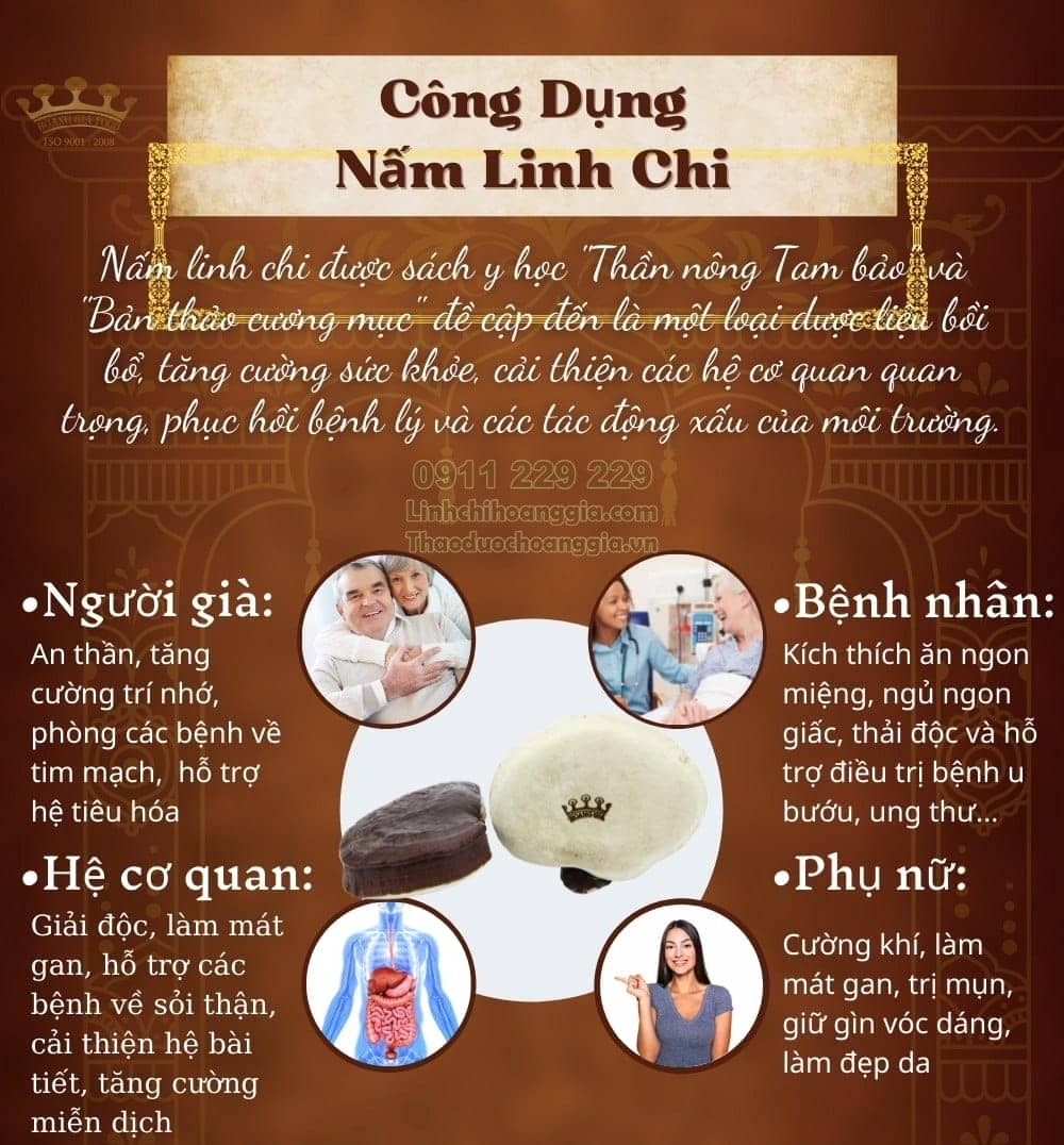 nam-linh-chi-hoang-gia-thuong-hang