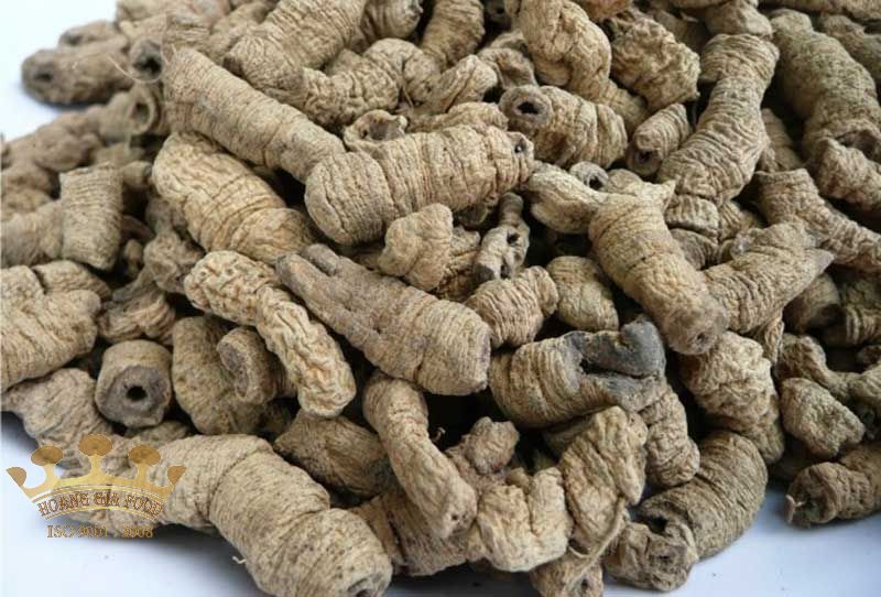 ba-kich-kho ba kich kho