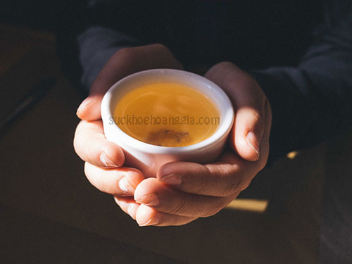 cach-dung-nam-linh-chi