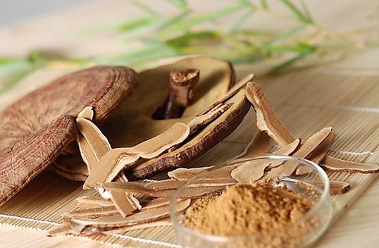 ban da dung nam linh chi dung cach2