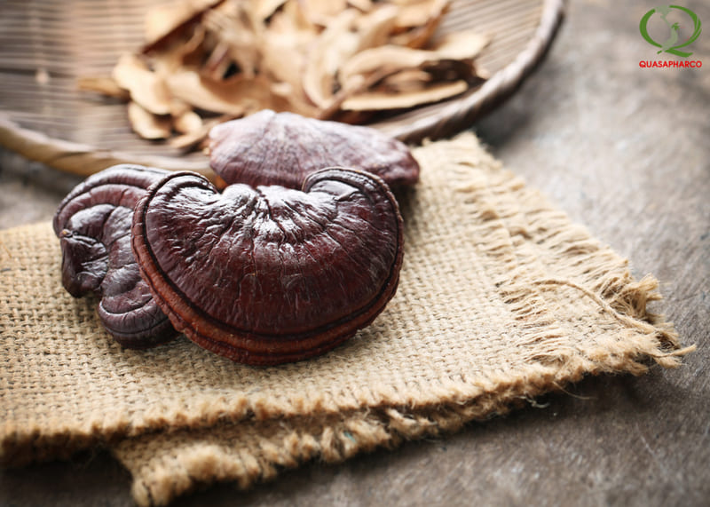 cac-loai-nam-linh-chi-nhat-ban-1 nam-linh-chi-nhat-ban