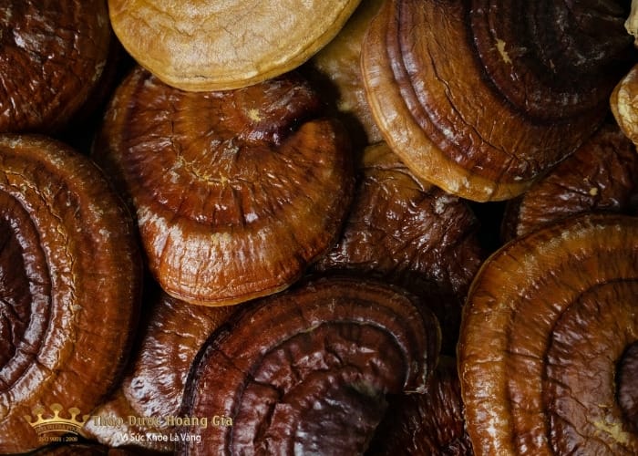 nam-linh-chi-nhat-ban