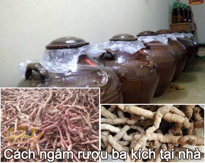 cach-ngam-ruou-ba-kich cach-ngam-ruou-ba-kich