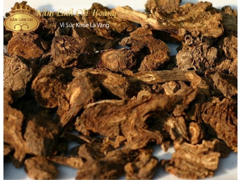 cam-thao203 cam-thao