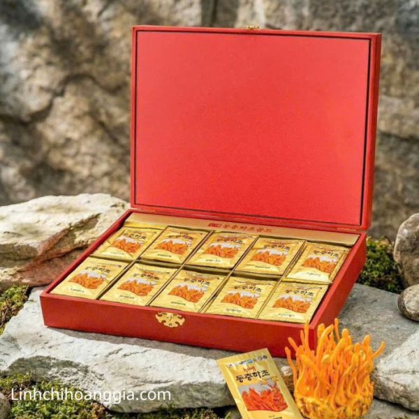 Hộp quà Đông Trùng Hạ Thảo Royal Gold Kanghwa Bio-Silkworm Cordyceps 60 gói.
