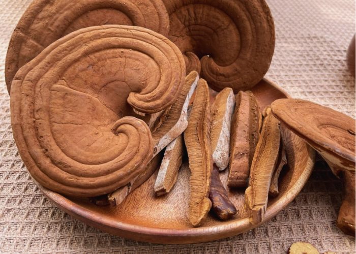 Nấm Linh Chi Đỏ Hoàng Gia 1Kg Nấm Linh Chi Đỏ Hoàng Gia Việt Nam Cao Cấp