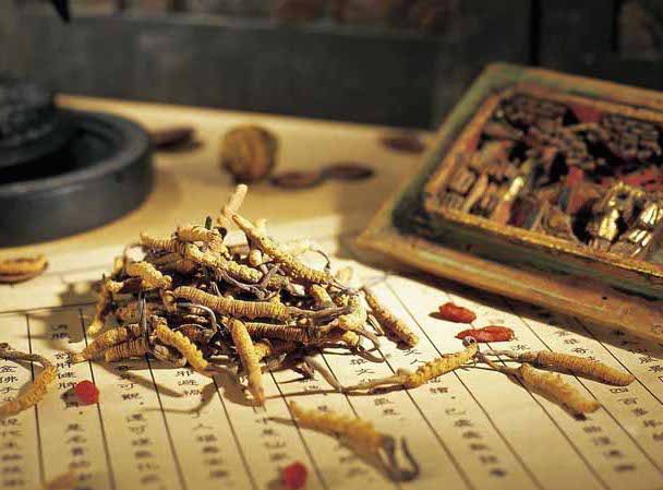 dong-trung-ha-thao-nhung-loi-ich-tuyet-voi-ban-can-biet