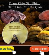 Giá​ Nấm Linh Chi Đỏ Mới Nhất 2025