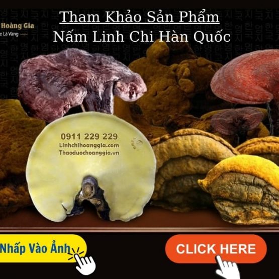 Giá​ Nấm Linh Chi Mới Nhất 2025 Cập Nhật Ngay