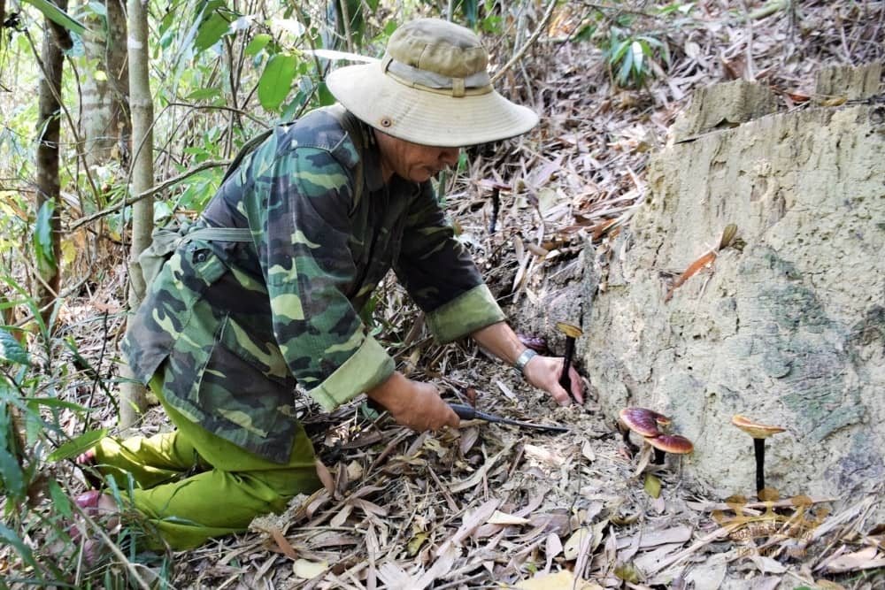 hinh-anh-nam-lim-xanh