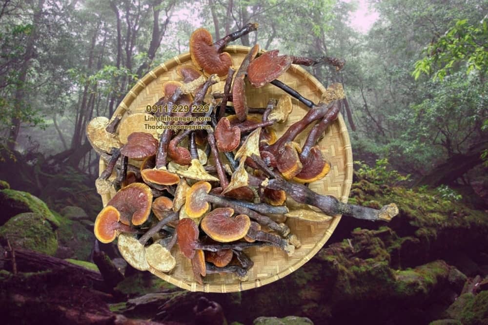 hinh-anh-nam-lim-xanh