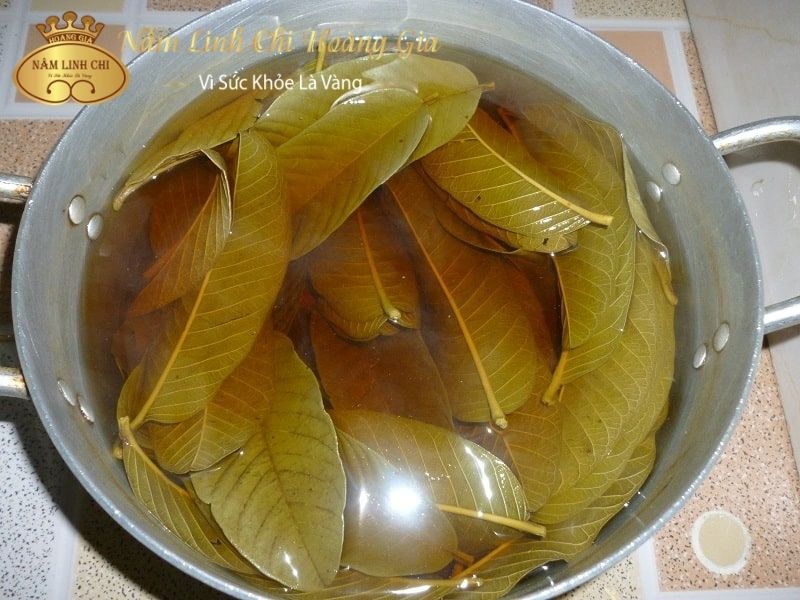 la-oi-co-tac-dung-gi