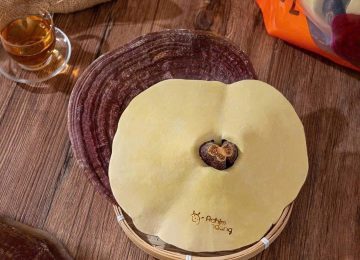 So Sánh Nấm Linh Chi Hàn Quốc vs Việt Nam