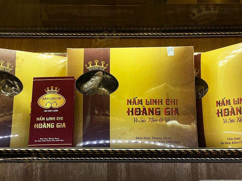 linh chi viet nam pho thong hoang gia 1 1