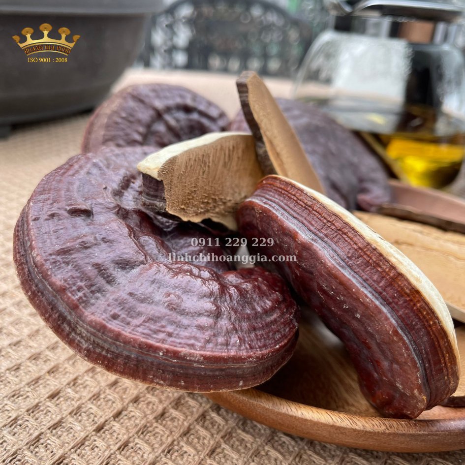 linhchihoanggia com nhat ban