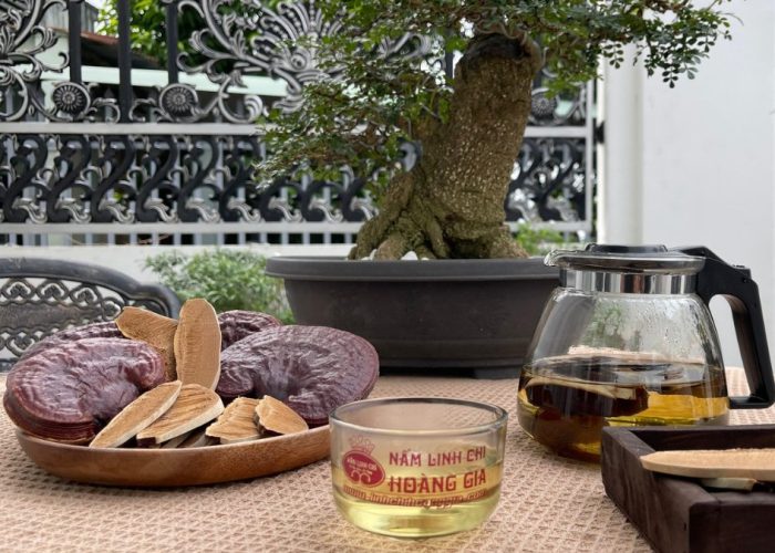 Nấm Linh Chi Đỏ Hoàng Gia