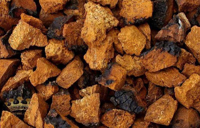nam-chaga-tu-nhien nam-chaga-tu-nhien