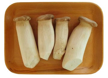 Nấm Đùi Gà: Công Dụng – Cách Chế Biến
