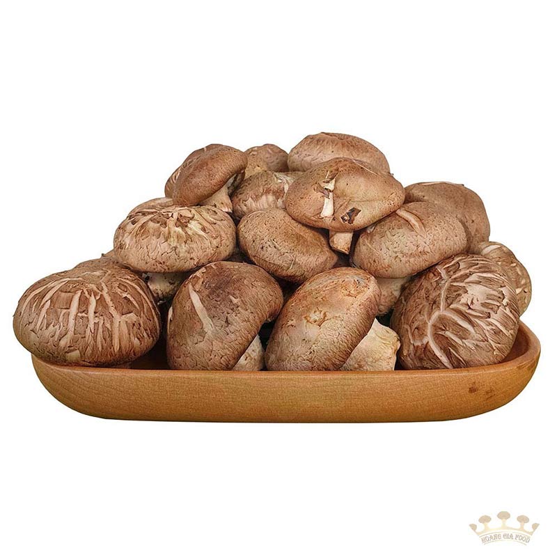 nam-huong-dong-co21-1 nam-huong-dong-co