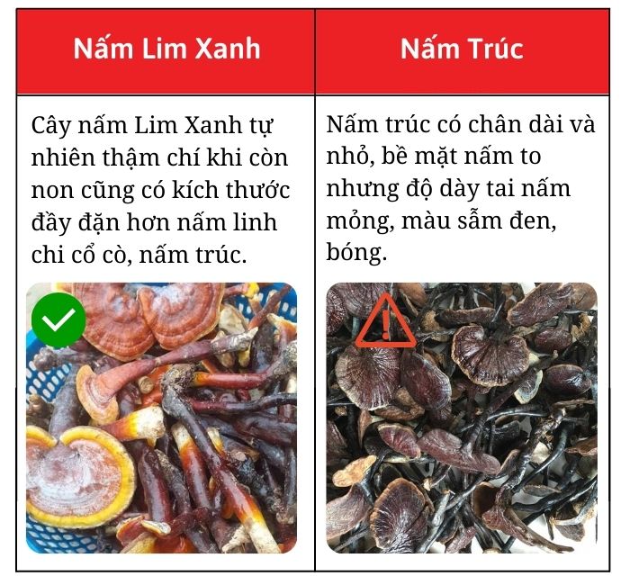 nam-lim-xanh-gia