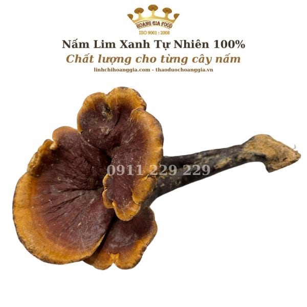 nam lim xanh hoang gia tu nhien8