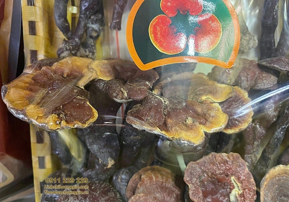 nam-lim-xanh-loai-1-500g2021 nam-lim-xanh-loai-1-500g