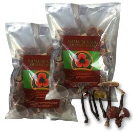 Nấm Lim Xanh Loại Tiêu Chuẩn 1Kg – Thu Hái Tự Nhiên
