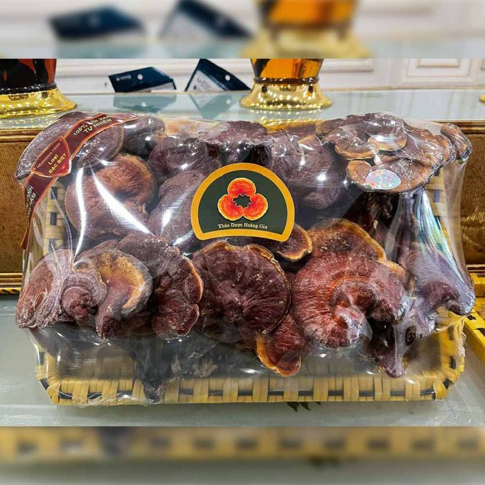 Nấm Lim Xanh Thu Hái Tự Nhiên - Hoàng Gia Loại Thượng Hạng Đặc Biệt 1Kg