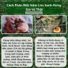 Nấm Lim Xanh Quảng Nam Thu Hái Tự Nhiên - Hoàng Gia Cao Cấp 1Kg