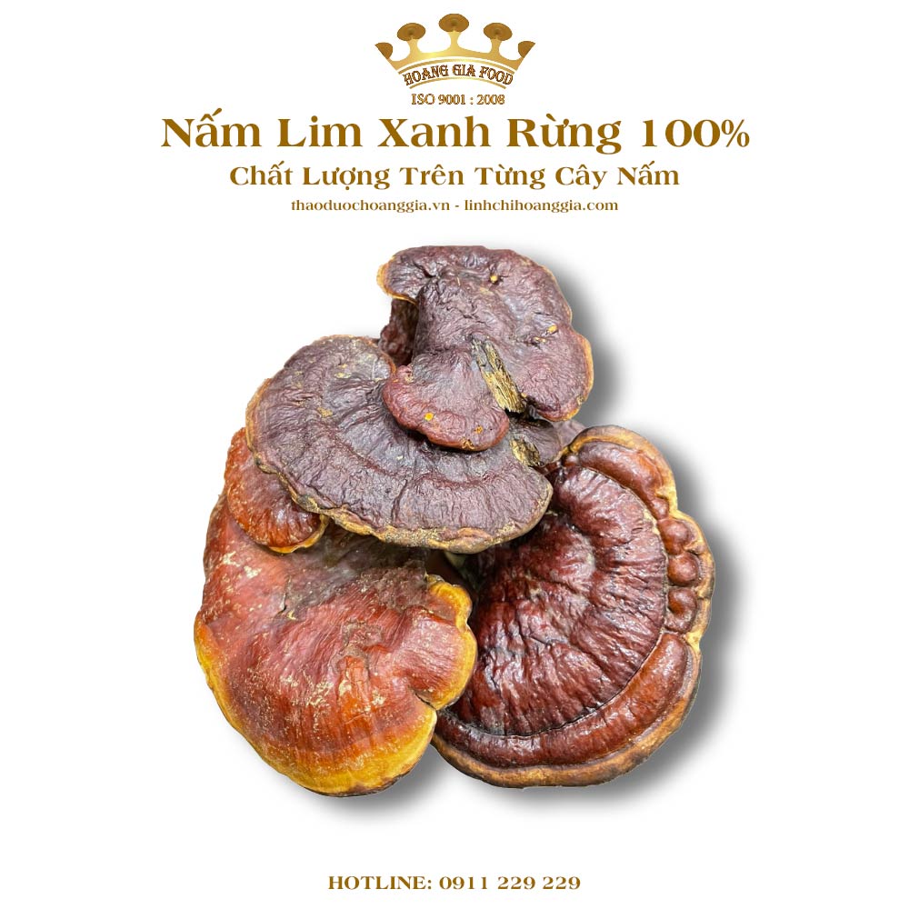 nam-lim-xanh-rung-100-7 nam-lim-xanh-rung-100