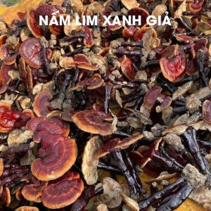 nam-lim-xanh-trong