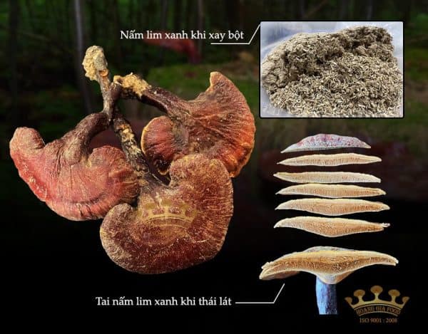 nam-lim-xanh-tu-nhien-500g
