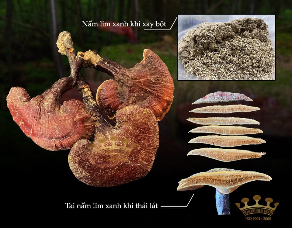 nam-lim-xanh-tu-nhien-hoang-gia1 nam-lim-xanh-tu-nhien-500g