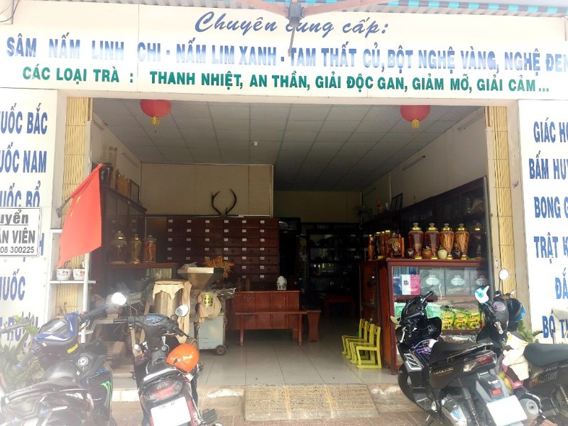 nam linh chi ba ria vung tau2011