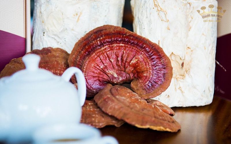 nam linh chi ba ria vung tau206