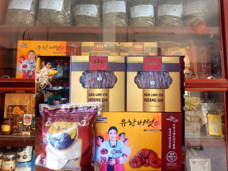 nam linh chi ba ria vung tau2061