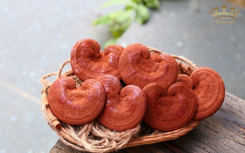 nam linh chi ba ria vung tau207