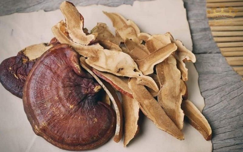 nam linh chi ha noi202