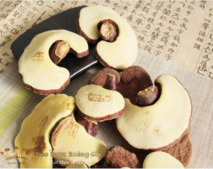 nam-linh-chi-han-quoc-tac-dung