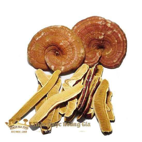 nam-linh-chi-han-quoc