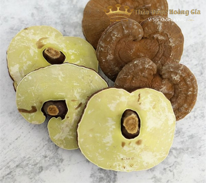 nam-linh-chi-han-quoc-chinh-hang