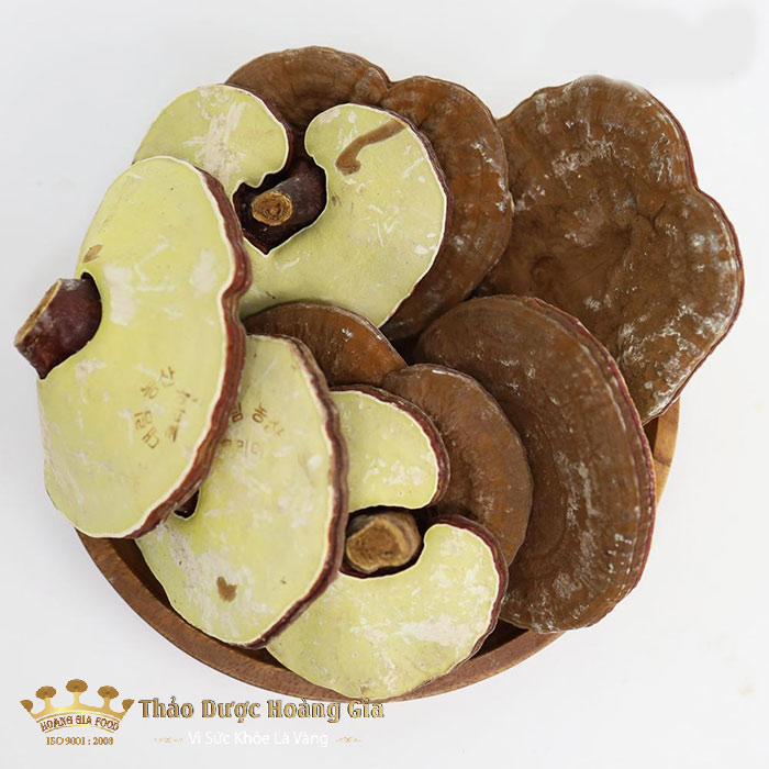 nam-linh-chi-han-quoc-ve-chat-luong